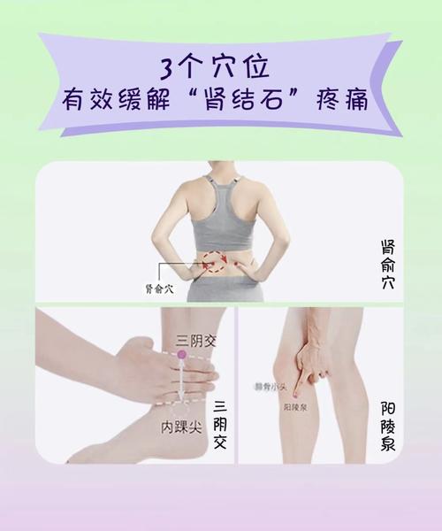 肾结石按压哪个穴位