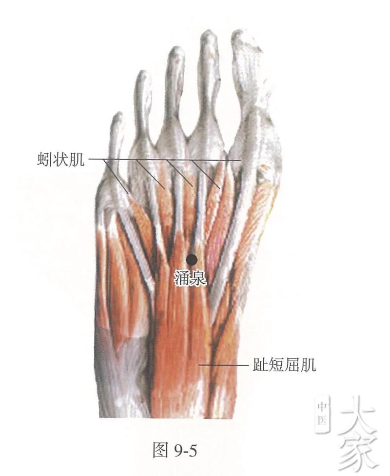 脚底肾上腺的穴位疼