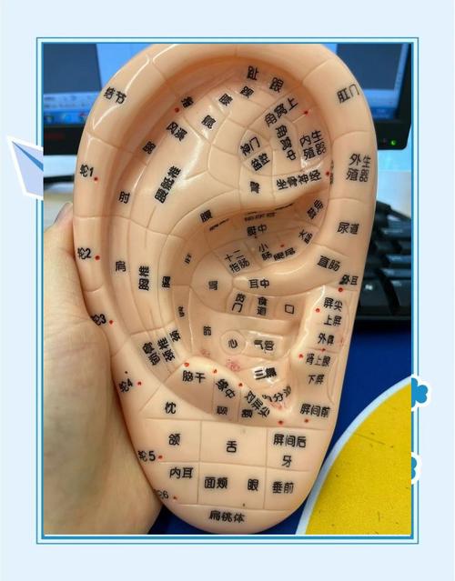 耳膜发炎按什么穴位