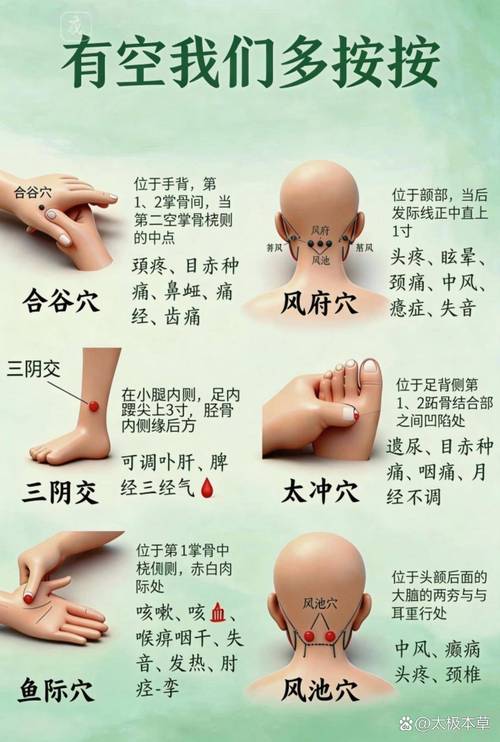 穴位 后溪等的位置