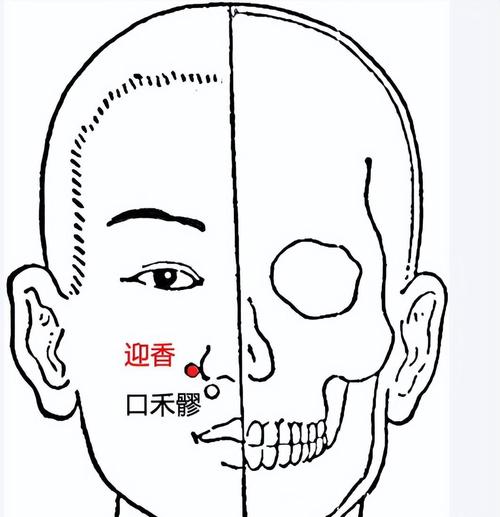 小儿迎香穴位位置图