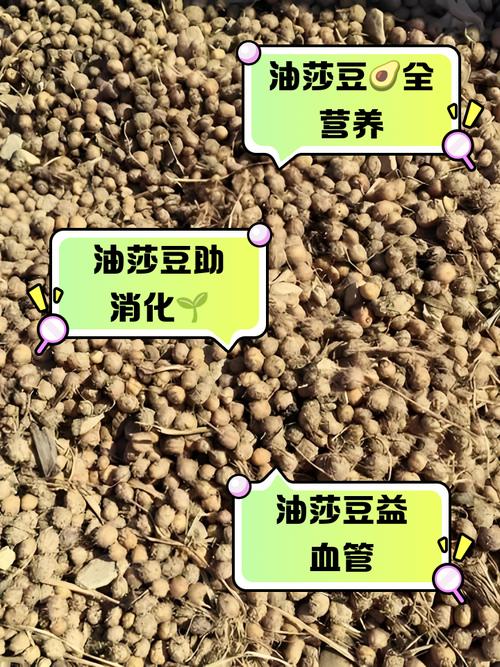 风湿关节炎能吃豆类吗