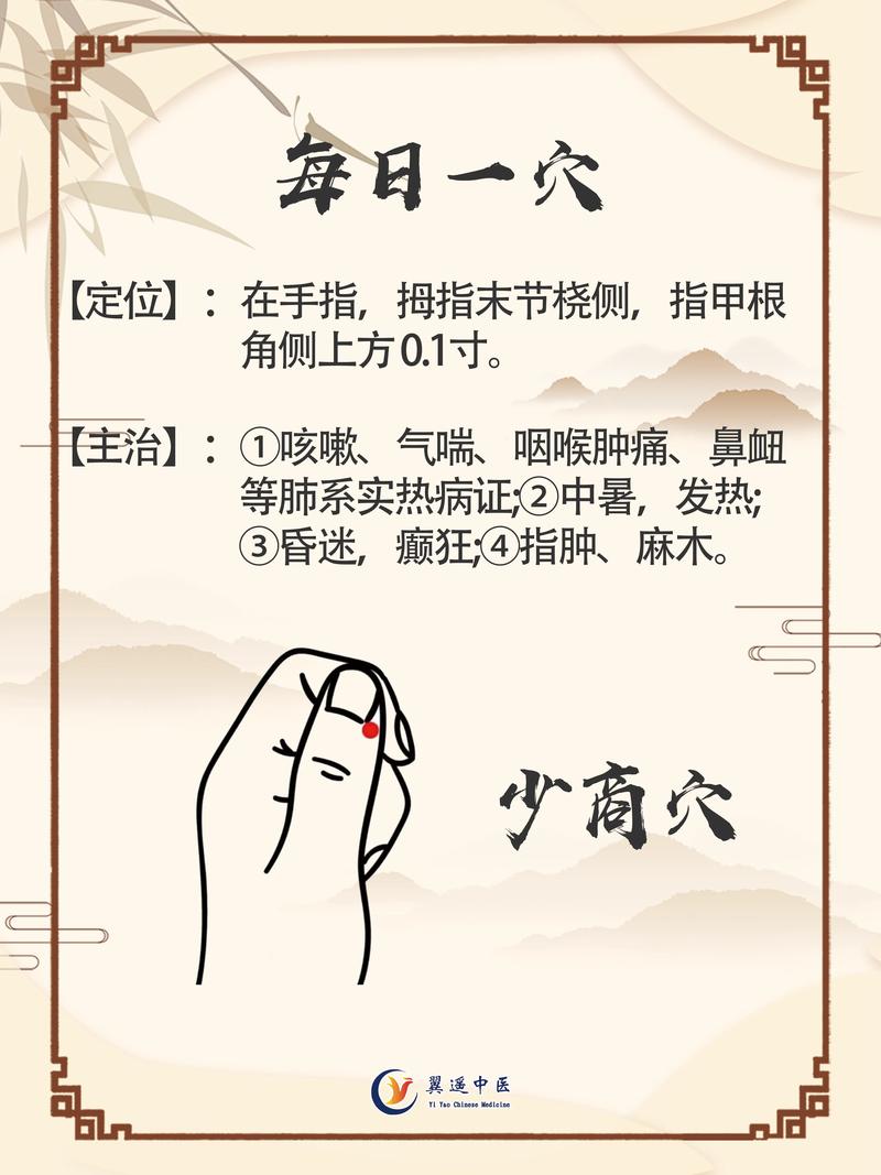 拇指上都有什么穴位