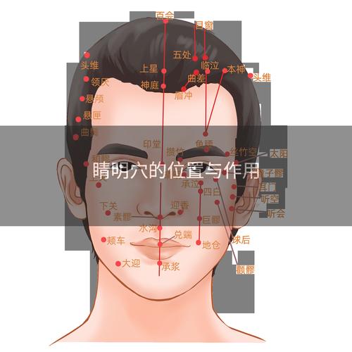 上下睛明穴位怎么找