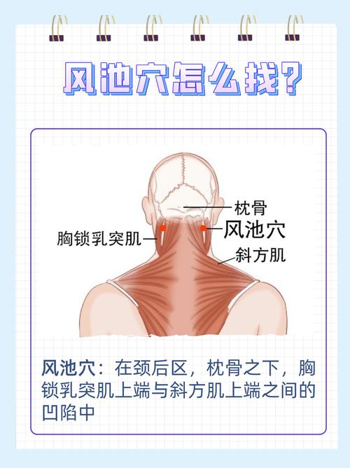 风池穴上方什么穴位