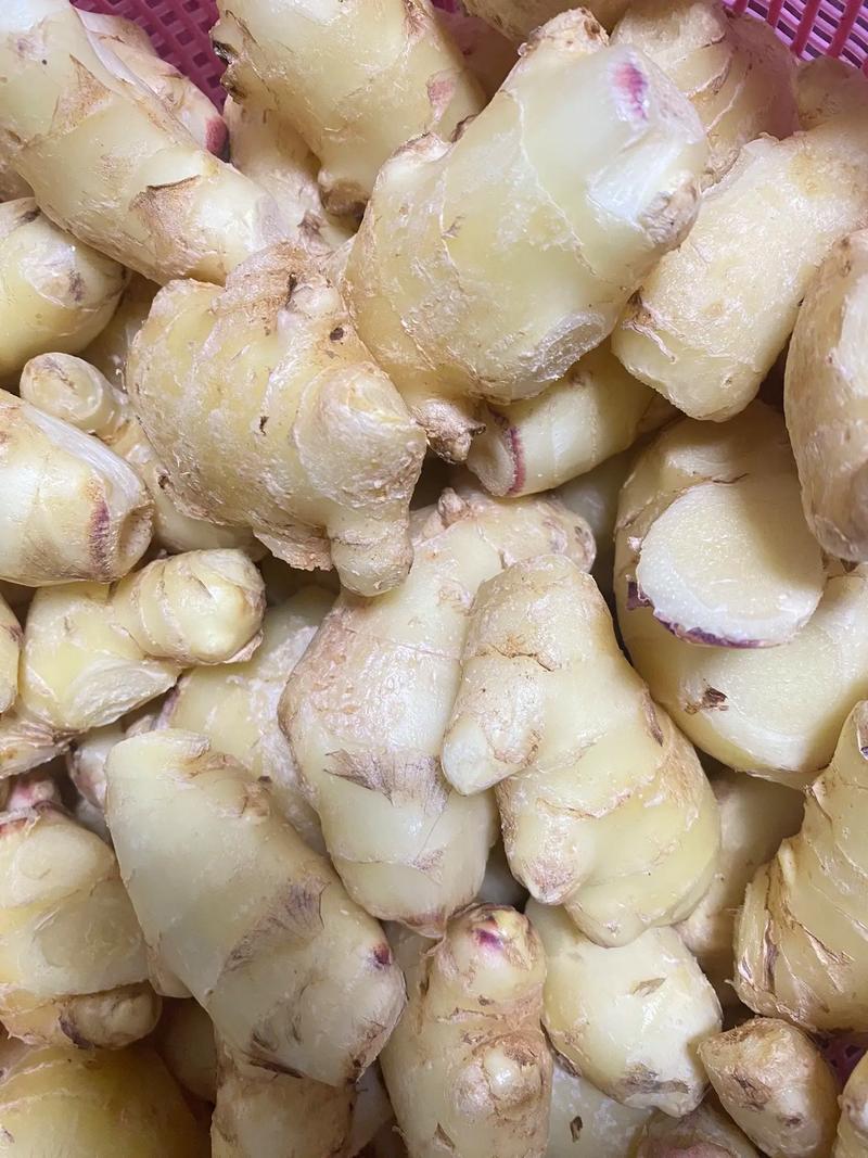 类风湿能吃醋泡生姜吗