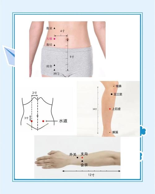 排便久艾灸那些穴位