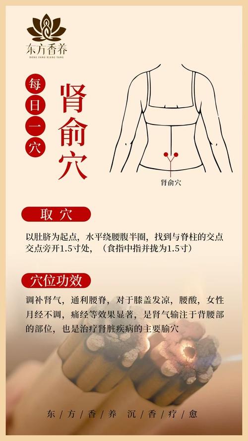 补肾气艾灸哪个穴位