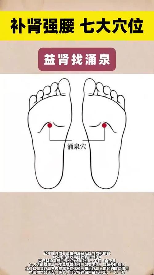 补肾气艾灸哪个穴位