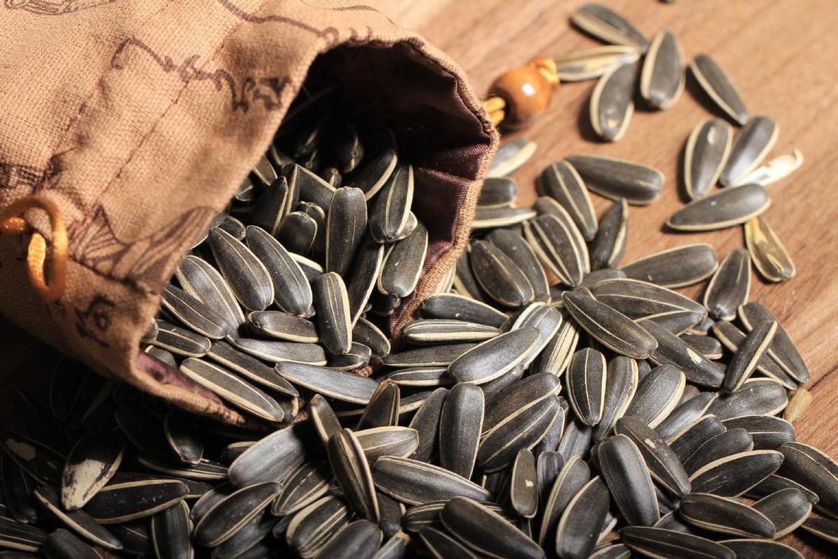 高血压脑梗能吃瓜子吗