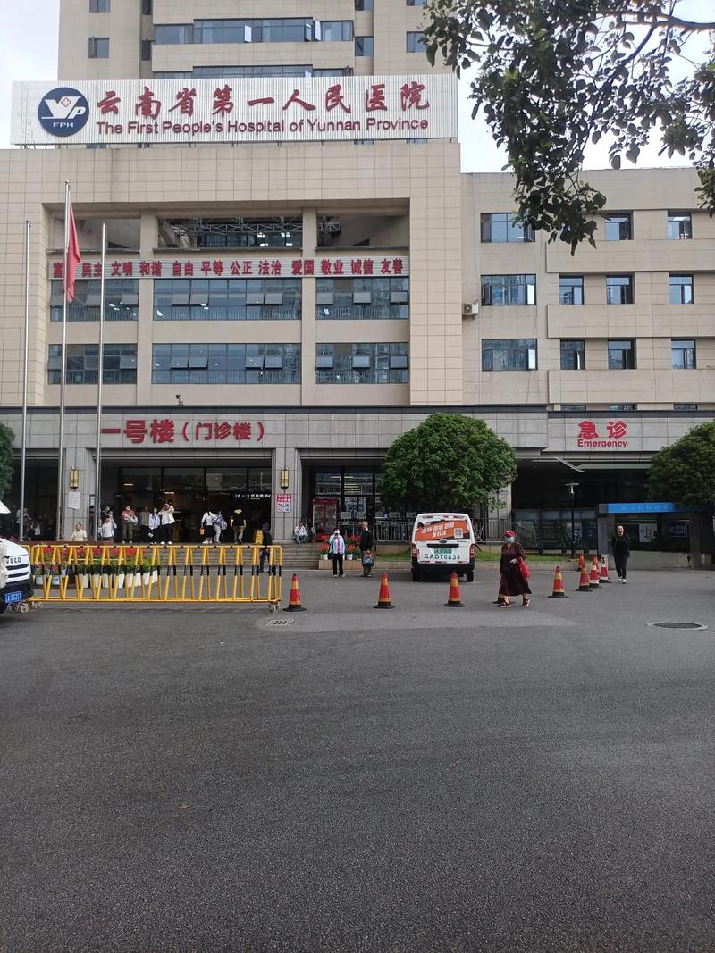 昆明哪个医院治脑梗好