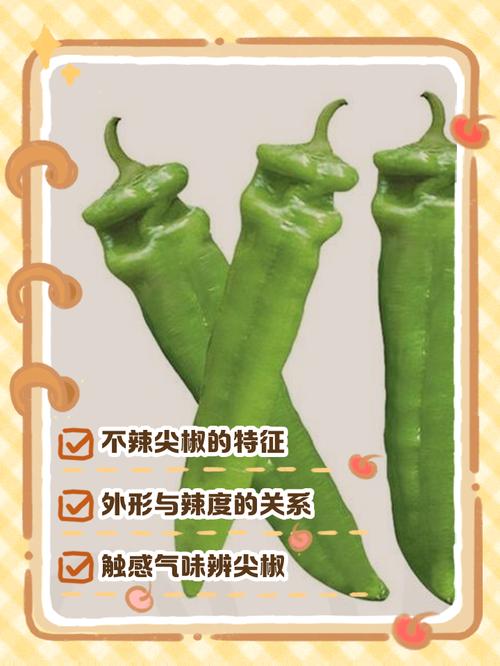 脑梗为什么不能吃辣椒