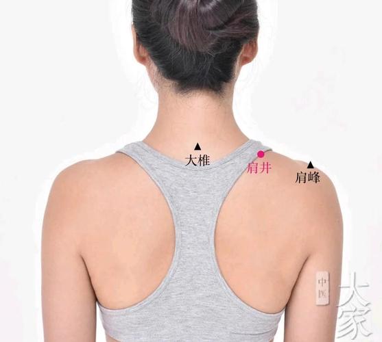 后背肩膀是什么穴位