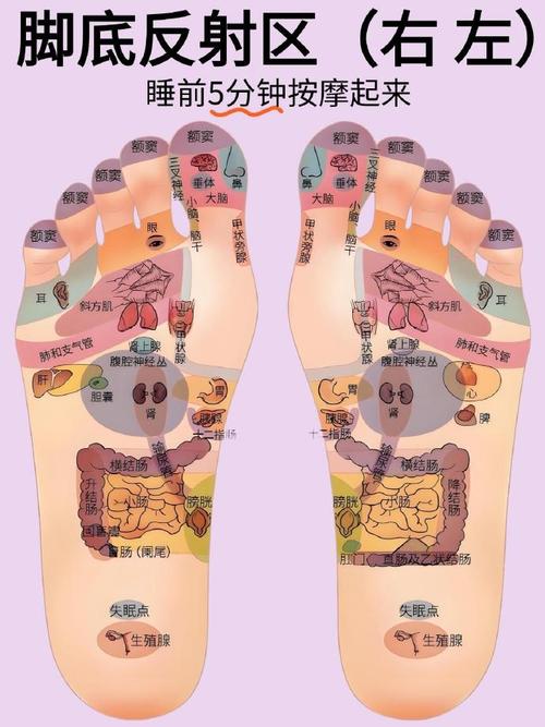 脚底麻 按什么穴位