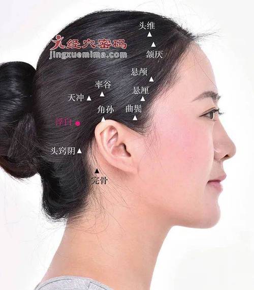 头部浮白穴位高清图