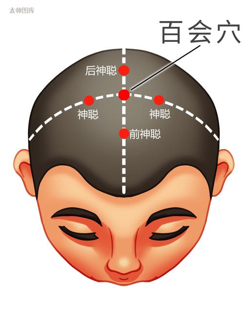 头部浮白穴位高清图