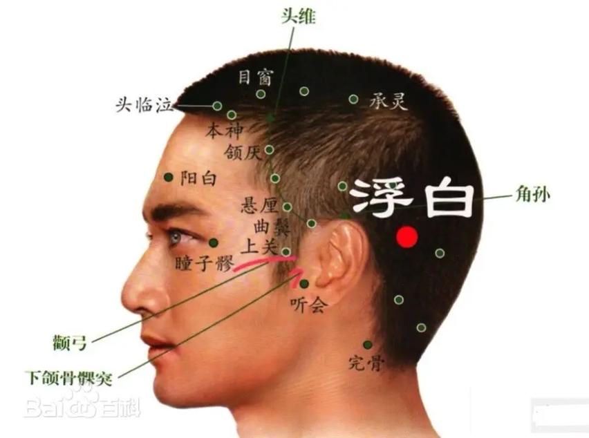 头部浮白穴位高清图