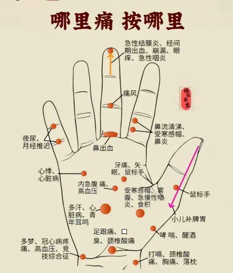 左手大拇指外侧穴位