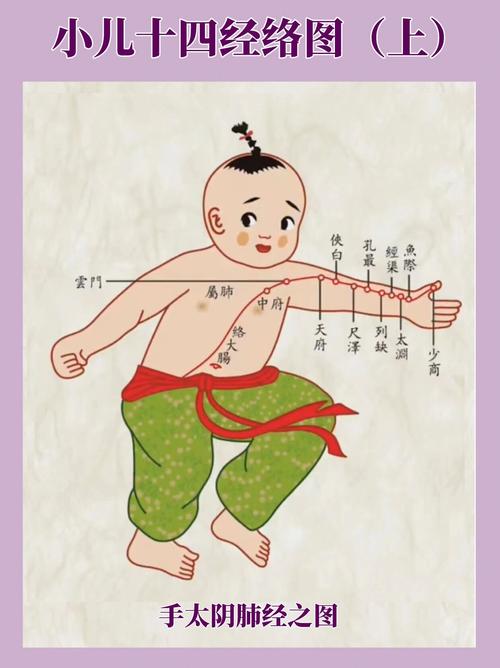 杨凡小儿推拿穴位图