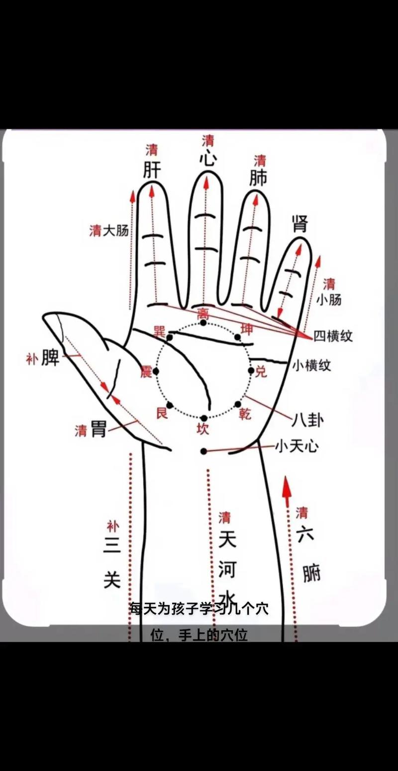 杨凡小儿推拿穴位图