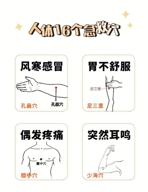 冬天艾灸哪个穴位好