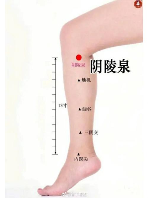 治疗代谢紊乱的穴位