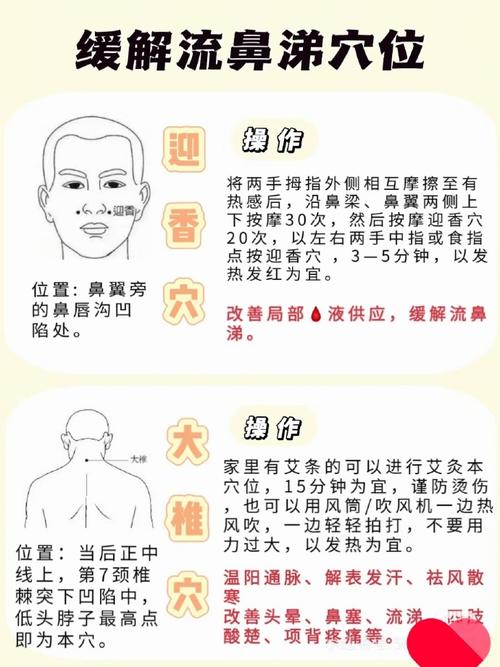 哪个穴位能预防感冒