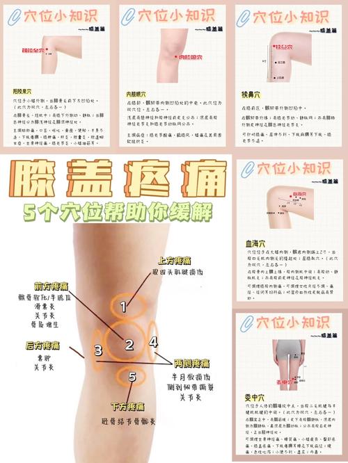 膝盖滑膜炎艾炙穴位