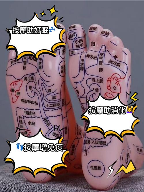 足底穴位压力刺激板