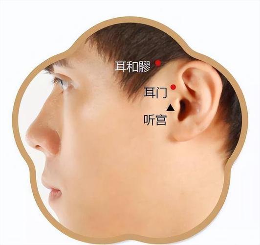 耳朵听不清艾灸穴位