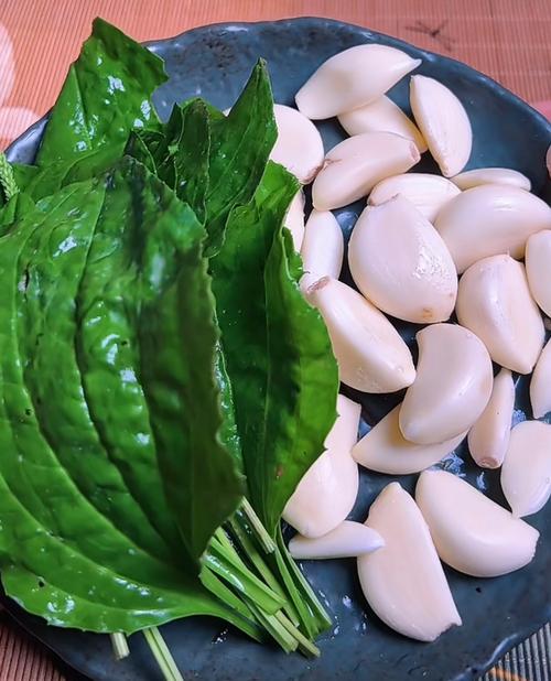 女人风湿要吃什么中药