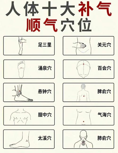 什么穴位可以补元气
