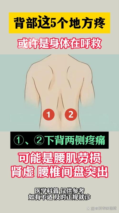 风湿会引起后背疼痛吗