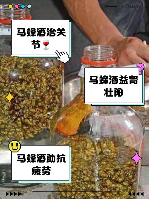 马蜂泡酒可以治风湿吗