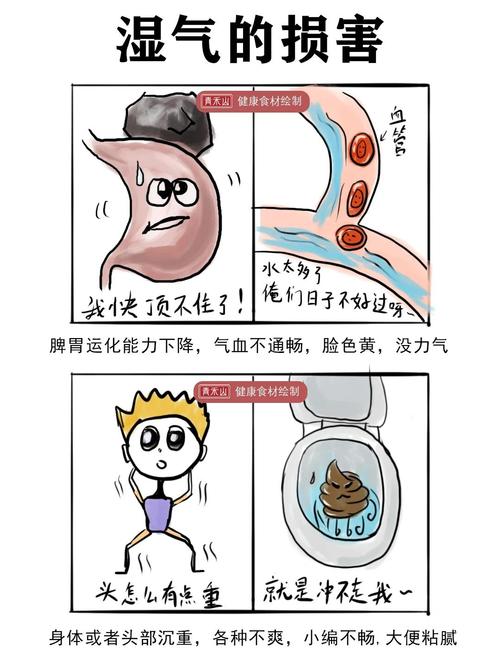 中渎穴位可以减肥吗