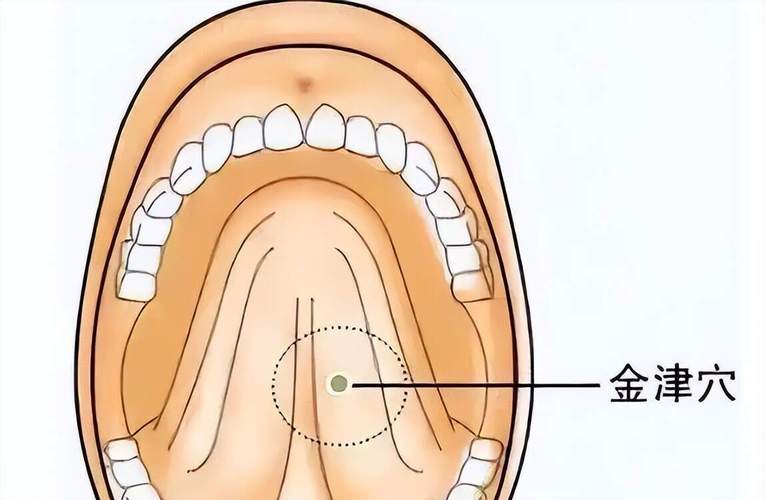 治疗口腔疾患的穴位