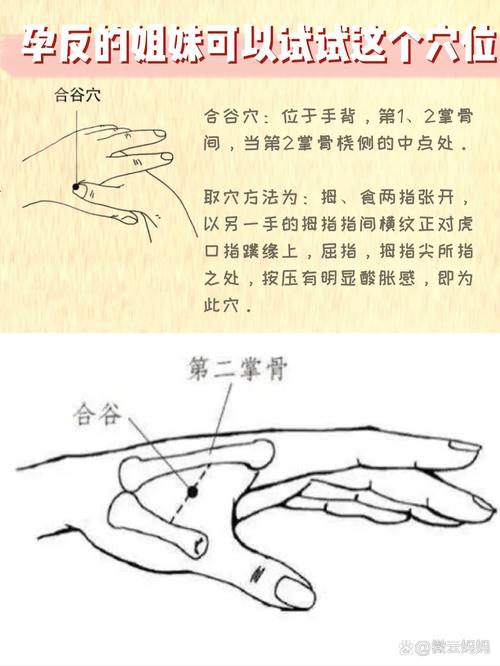 怀孕吐按摩哪个穴位