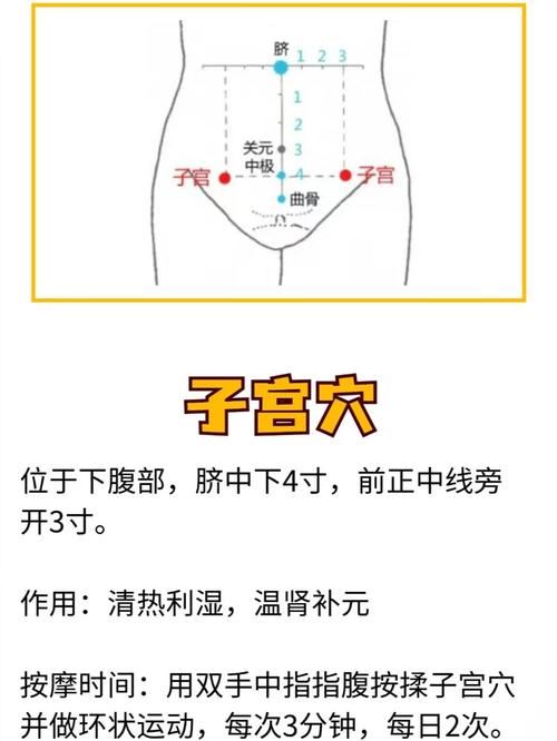 子宫上有什么穴位图