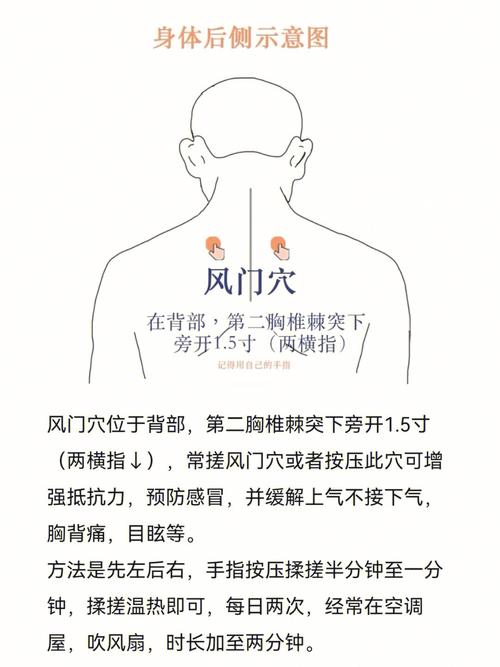 人体穴位风门在何处