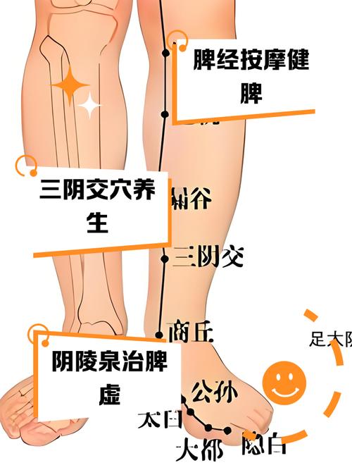 肠胃虚火旺按摩穴位