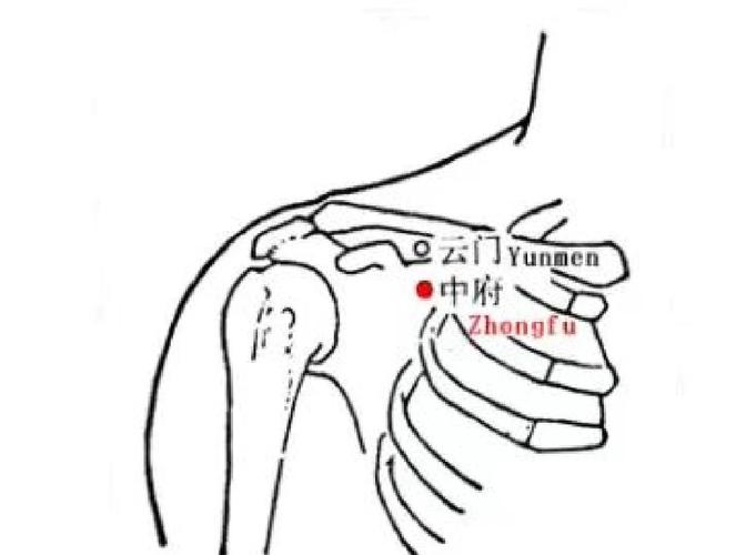 云门中府穴位位置图