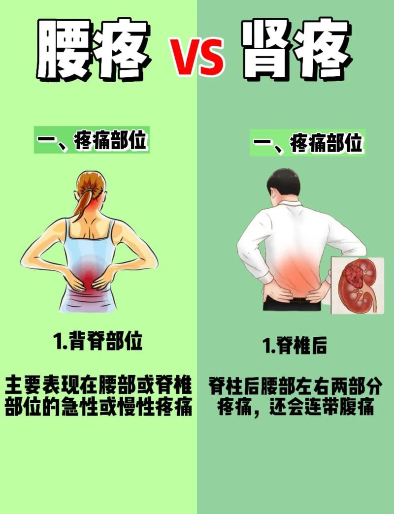 风湿腰痛是什么引起的