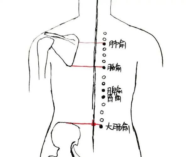 小儿咳嗽 拔罐穴位