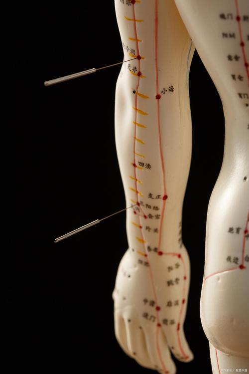 人体针灸穴位及定位