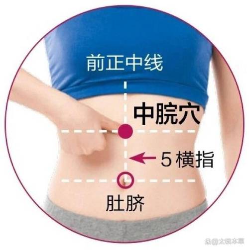 哈市穴位在什么位置