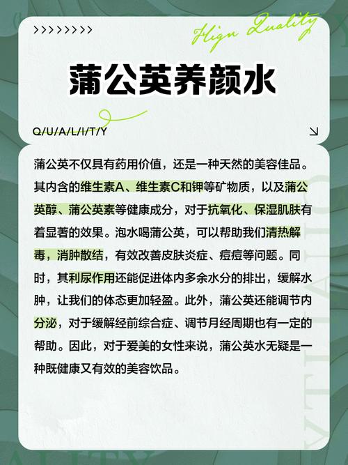 风湿可以喝蒲公英水吗