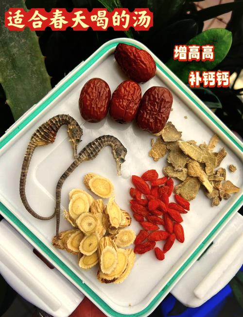 海马泡酒可以治风湿么