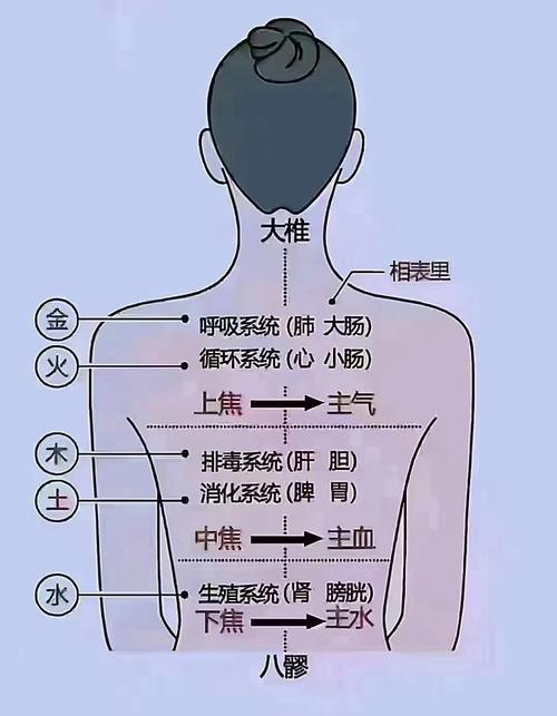艾灸大椎穴位置出汗