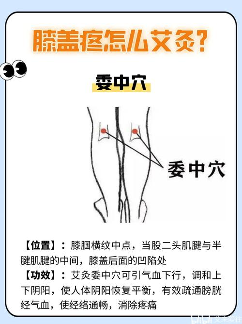 膝盖酸软按哪个穴位