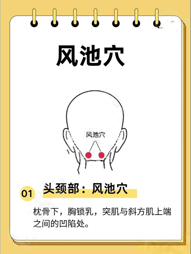 中暑头晕按什么穴位